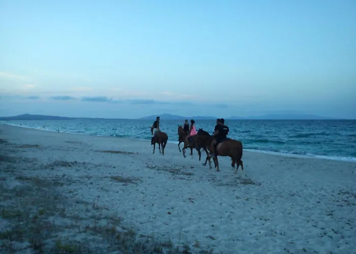 Gospodarstwo wiejskie Ezzi Mannu Stintino