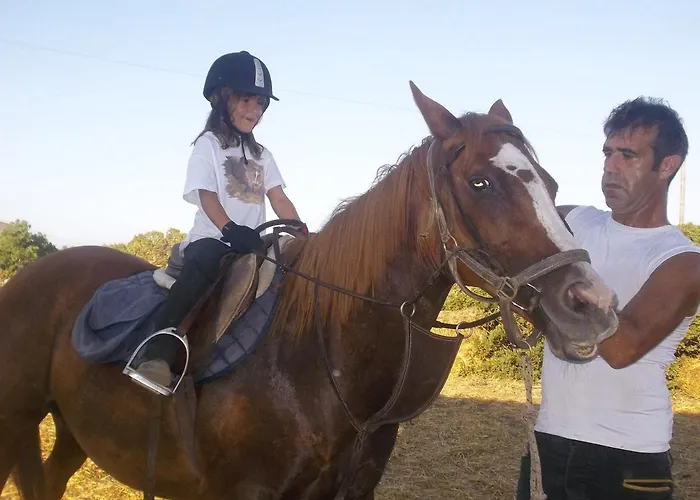 Gospodarstwo wiejskie Ezzi Mannu